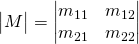 \begin{vmatrix}M \end{vmatrix}=\begin{vmatrix} m_{11} & m_{12} \\ m_{21} & m_{22}\end{vmatrix}